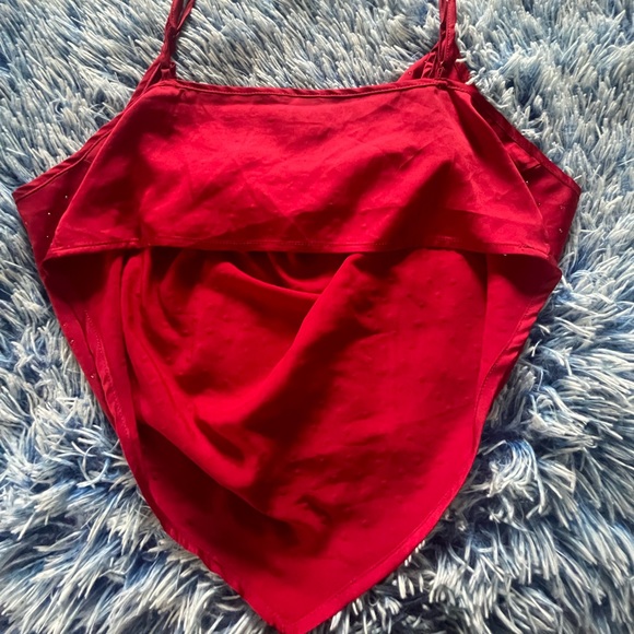 Ruby, Red Crop Top - Picture 4 of 4